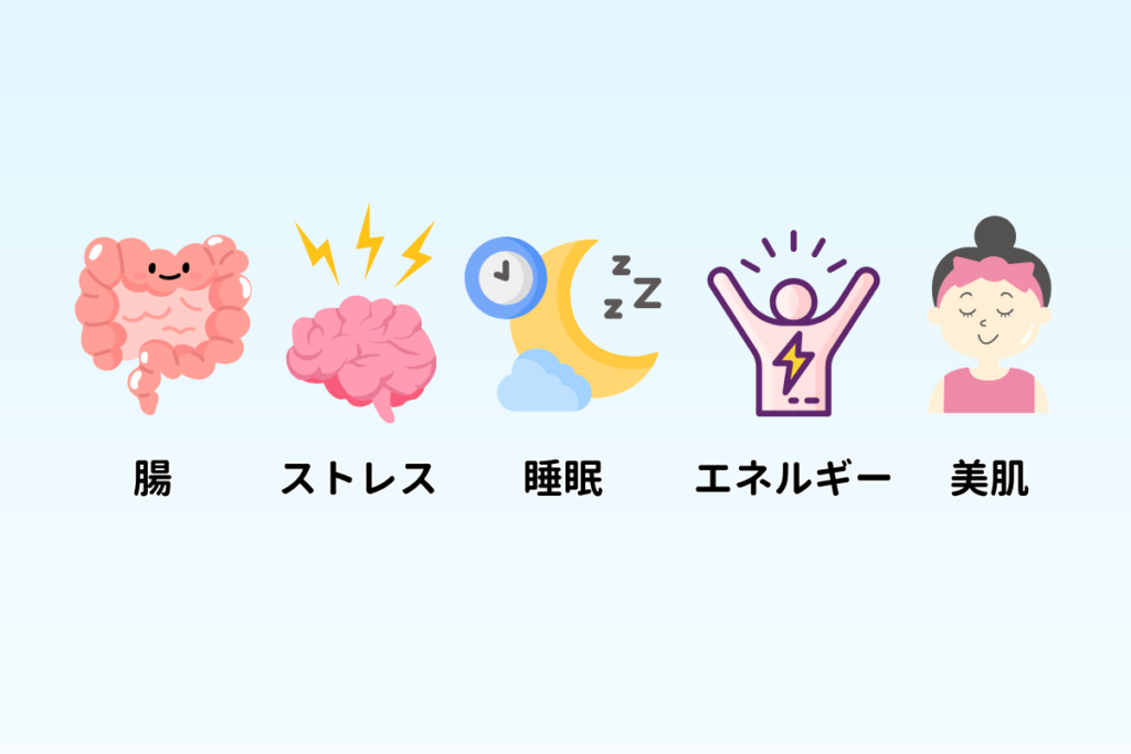 マグネシウムがもたらす5つの効果(メリット)を示すアイコン画像。左から順に、腸、ストレス(脳)、睡眠、エネルギー、美肌を象徴するイラストが並んでいる。