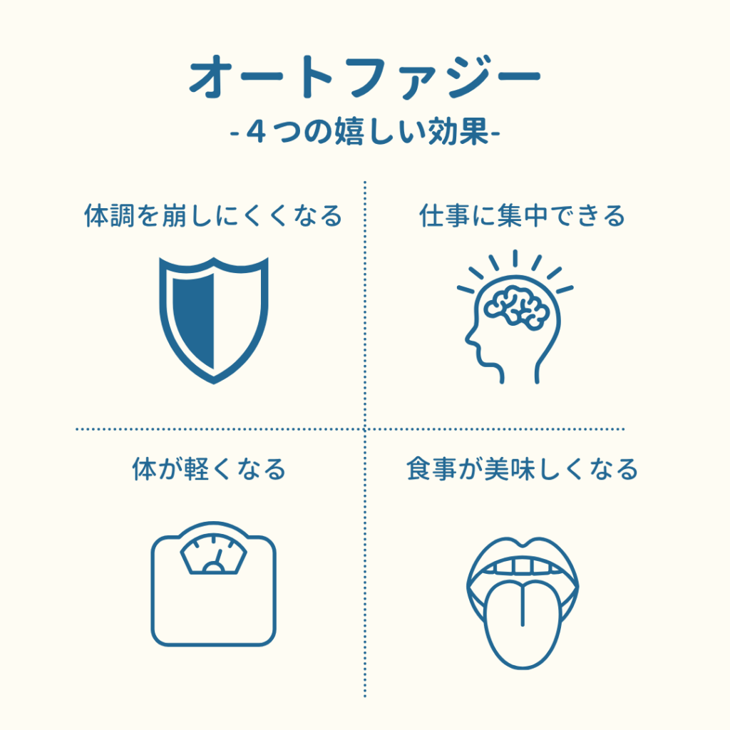 オートファジーがもたらす4つの効果のインフォグラフィック。「体調を崩しにくくなる」「仕事に集中できる」「体が軽くなる」「食事が美味しくなる」というメリットが、それぞれ盾、脳、体重計、舌のアイコンと共に分かりやすくまとめられている。